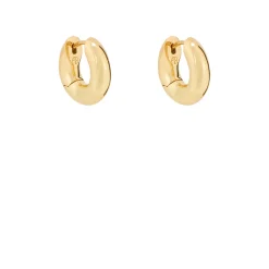 Bold Link Small Hoops Women Earrings