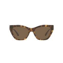 Cat Eye Sunglasses EA4176 Women Sunglasses