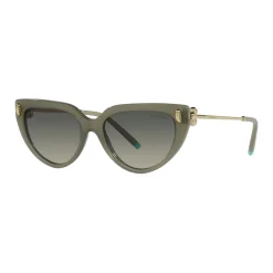 Online Cat Eye Sunglasses TF4195 Women Sunglasses