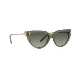 Online Cat Eye Sunglasses TF4195 Women Sunglasses