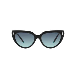Cat Eye Sunglasses TF4195 Women Sunglasses