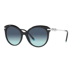 New Cat Eye Sunglasses TF4189B Women Sunglasses
