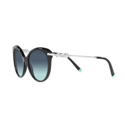 New Cat Eye Sunglasses TF4189B Women Sunglasses