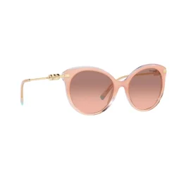 Cat Eye Sunglasses TF4189B Women Sunglasses