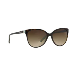 Clearance Cat Eye Sunglasses TF4089B Women Sunglasses