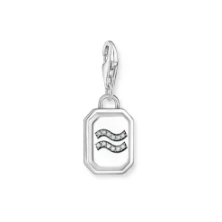 3D Aquarius Star Sign Charm Women Charms