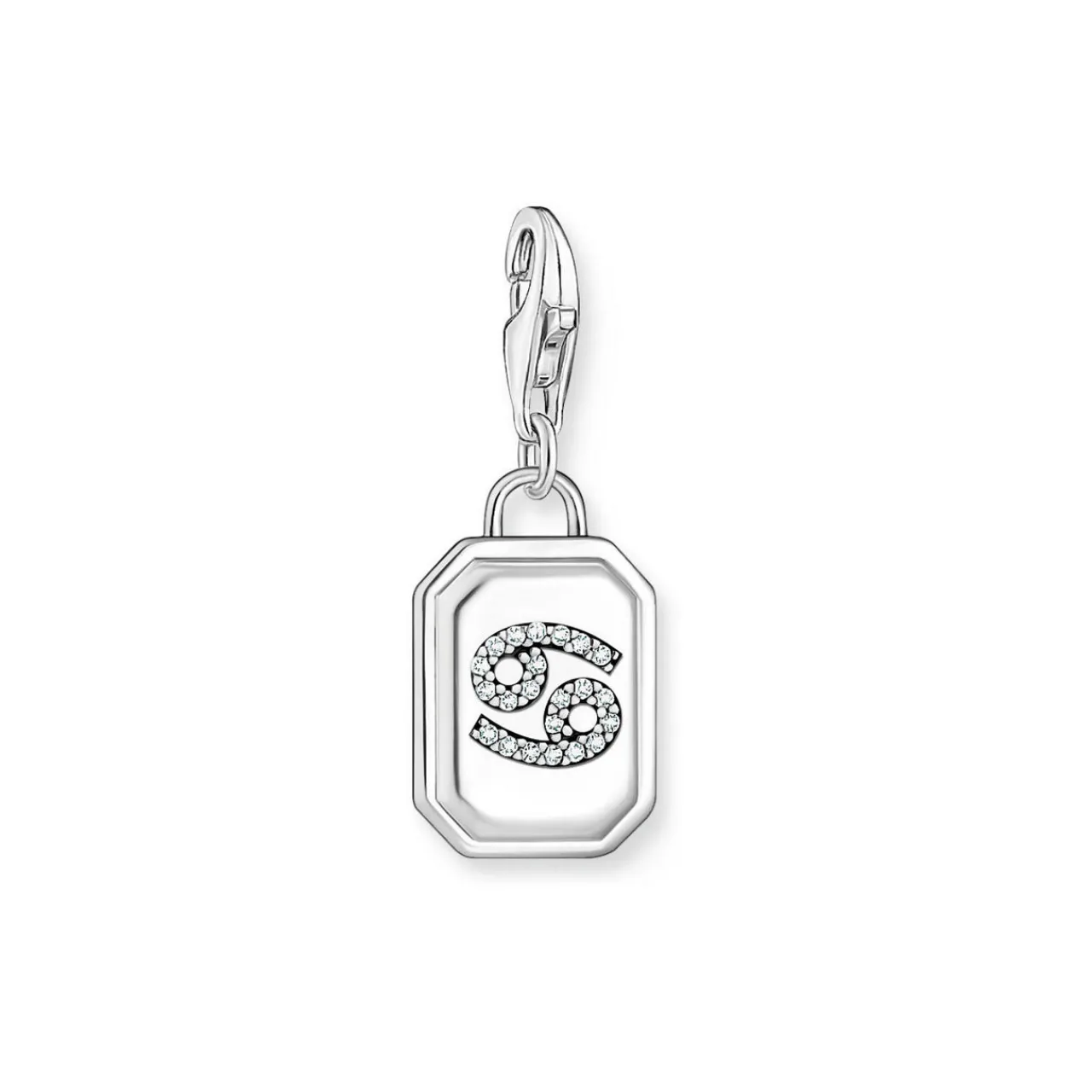 Clearance 3D Cancer Star Sign Charm Women Charms