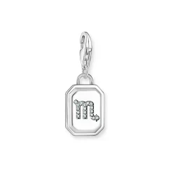 Sale 3D Scorpio Star Sign Charm Women Charms