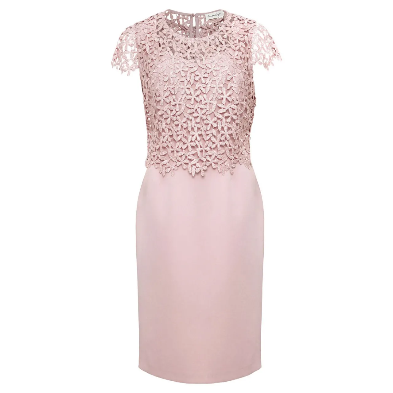 Sale Daisy Lace Dress Women Dresses