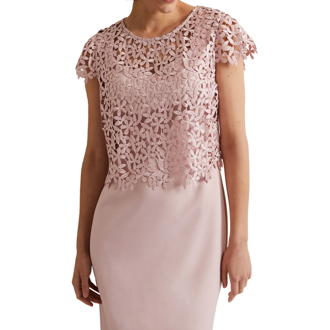 Sale Daisy Lace Dress Women Dresses