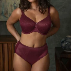 New Demure Full Briefs Women Lingerie