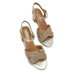 Divine Block Heels Women Heels