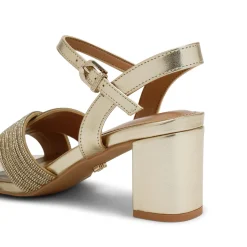 Divine Block Heels Women Heels
