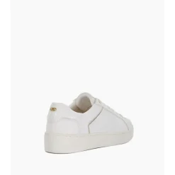 Discount Elli Lace-Up Flatform Trainers Women Trainers