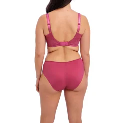 Online Envisage Graphic Briefs Women Lingerie