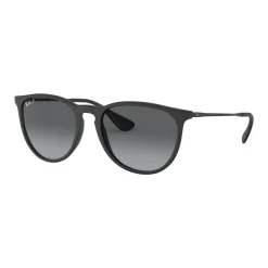 Online Erika Sunglasses RB4171 54 Women Sunglasses