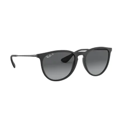 Online Erika Sunglasses RB4171 54 Women Sunglasses