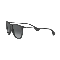 Online Erika Sunglasses RB4171 54 Women Sunglasses