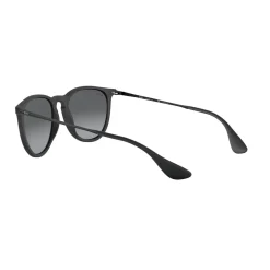Online Erika Sunglasses RB4171 54 Women Sunglasses