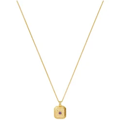 Hot February Birthstone Necklace Women Necklaces