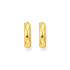 Discount Gold-Plated Chunky Hoops Women Earrings