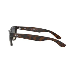 New Havana New Wayfarer Green Lens Sunglasses Brown Women Sunglasses