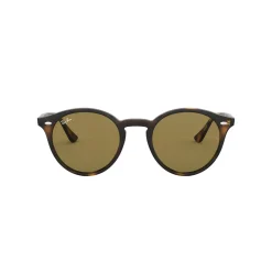 Best Havana Phantos Sunglasses  Brown Women Sunglasses