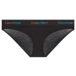 New Icon Logo Pride Briefs Women Lingerie