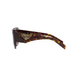 Best Irregular Sunglasses PR 14ZS Women Sunglasses