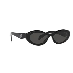 Best Irregular Sunglasses PR 26ZS Women Sunglasses