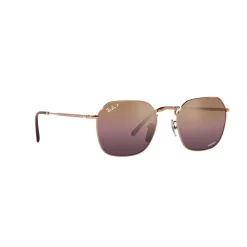Irregular Sunglasses RB3694 Women Sunglasses