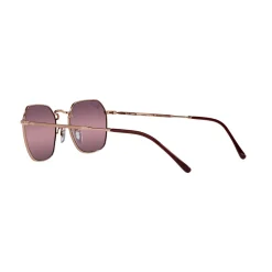 Irregular Sunglasses RB3694 Women Sunglasses