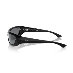 Discount Irregular Sunglasses RB4431 Xan Bio-Based Women Sunglasses