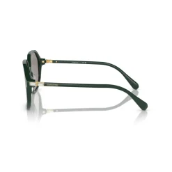 Clearance Irregular Sunglasses SK6003 Women Sunglasses