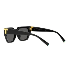 Hot Irregular Sunglasses TF4205U Women Sunglasses