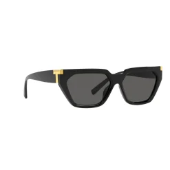 Hot Irregular Sunglasses TF4205U Women Sunglasses