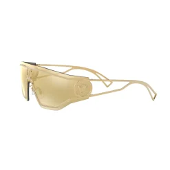 Irregular Sunglasses 0VE2226 Women Sunglasses