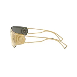 Irregular Sunglasses 0VE2226 Women Sunglasses