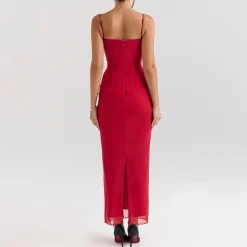 Nalini Mesh Corset Dress Women Dresses