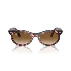 Hot Oval Sunglasses RB2242 Wayfarer Oval Women Sunglasses