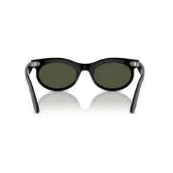 Online Oval Sunglasses RB2242 Wayfarer Oval Women Sunglasses
