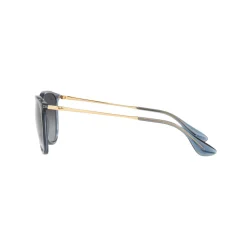 Hot Phantos Sunglasses RB4171 Women Sunglasses