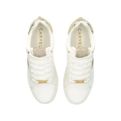 Online Rapid Striped Lace-Up Trainers Women Trainers