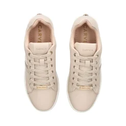 New Rapid Striped Lace-Up Trainers Women Trainers