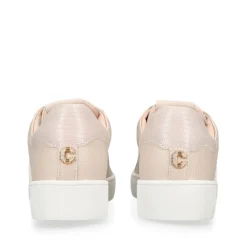 New Rapid Striped Lace-Up Trainers Women Trainers