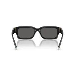 Rectangle Sunglasses TF4226U Women Sunglasses