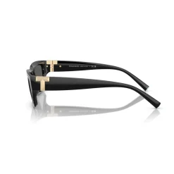 Rectangle Sunglasses TF4226U Women Sunglasses