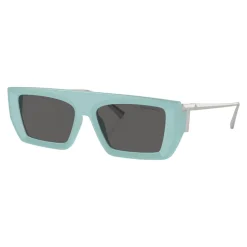 Rectangle Sunglasses TF4214U Women Sunglasses