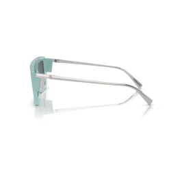 Rectangle Sunglasses TF4214U Women Sunglasses