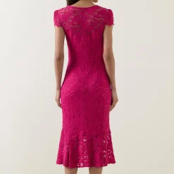 Outlet Scalloped Lace Dress Women Dresses